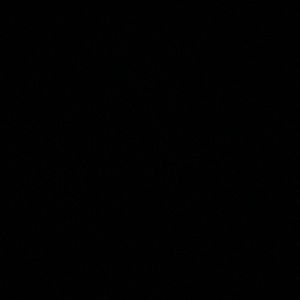 Meet your Posher, Ashia